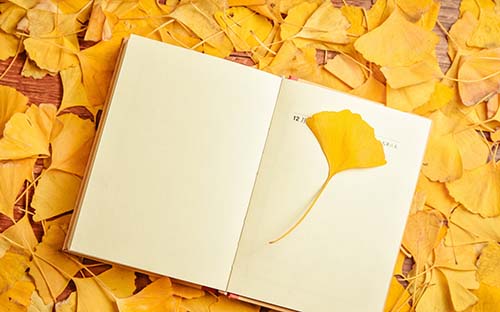 昆明成考有必要挑學(xué)校嗎？