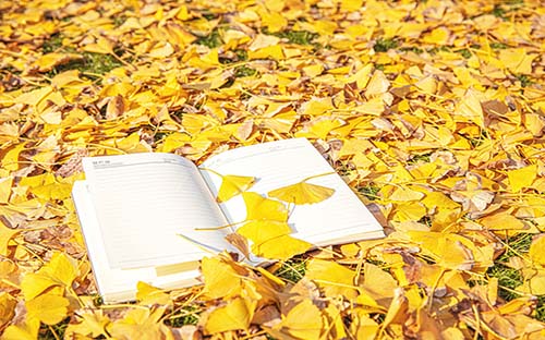 鄭州成人高考需要畢業(yè)證嗎？