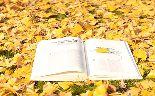 陜西省教育考試院成人高考成績(jī)查詢？