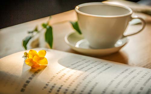 成人高考的語文教育專業(yè)怎么樣？