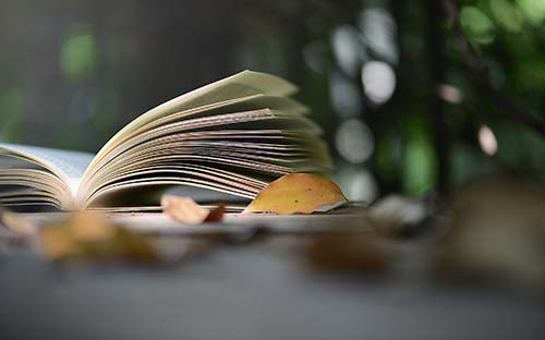 吉林成人高考分?jǐn)?shù)線是多少？