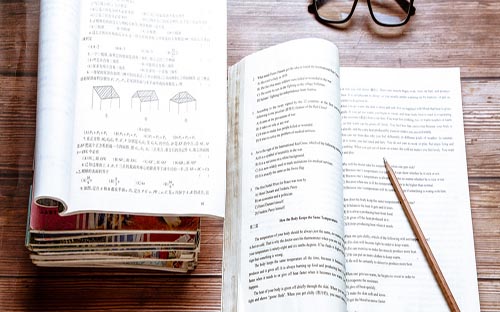 山東省怎么查成人高考的成績？