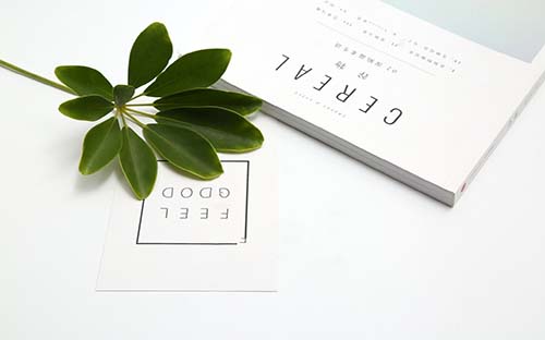 成人高考行政管理專升本考什么？