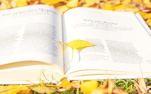 自考英語專業(yè)必須寫畢業(yè)論文嗎？