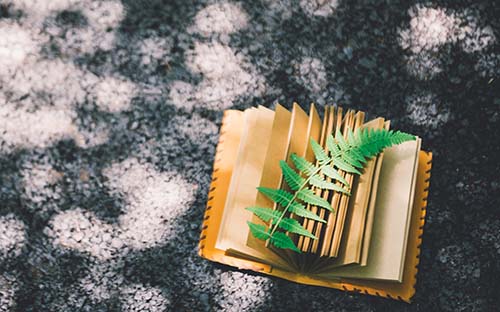 在職行政單位成人高考有用嗎？