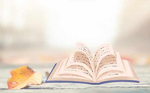 成人高考專升本如何選專業(yè)？