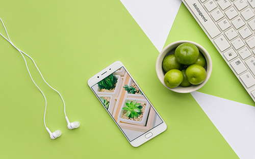 長沙的成人高考有哪些學(xué)校？