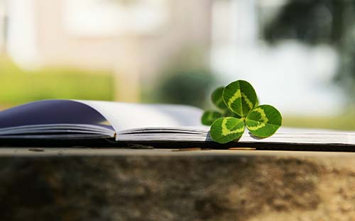 報(bào)考成人高考函授的步驟有哪些？