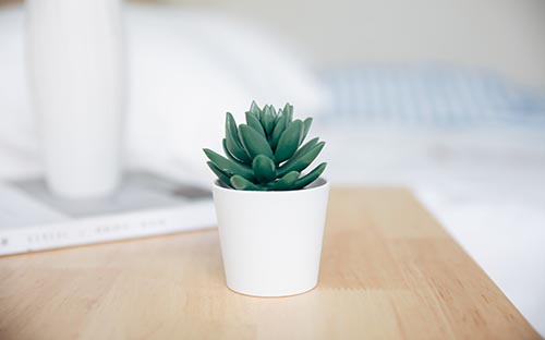 中專沒畢業(yè)證能參加成人高考嗎？