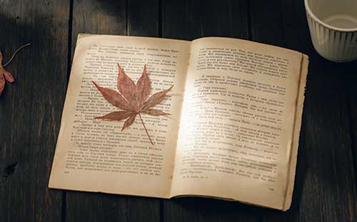 ?為什么自考行政管理是熱門專業(yè)？
