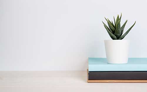 成人高考心理學專業(yè)要考哪些科目？