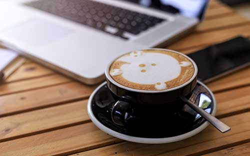 河北成人高考怎么查成績(jī)？