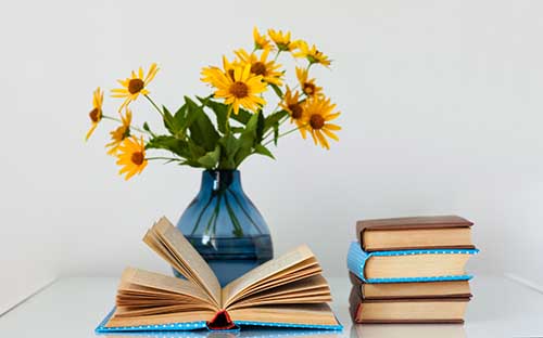 成考本科有關(guān)于銷售專業(yè)嗎？