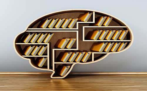 成人高考可以報(bào)名什么學(xué)校？