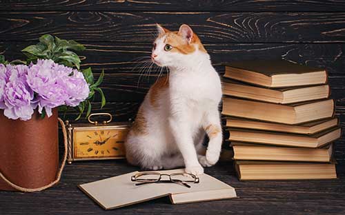 意大利音樂(lè)留學(xué)難嗎？意大利音樂(lè)留學(xué)條件是什么？