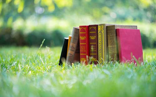 怎么讀國(guó)際本科學(xué)校專業(yè)，去讀的要求是什么