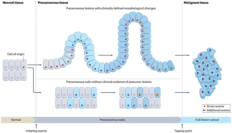 四川大學科技成果 四川大學科技成果