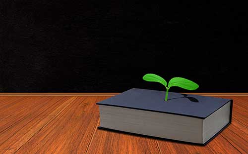 自考學(xué)歷考研究生難嗎？注意事項(xiàng)有哪些？