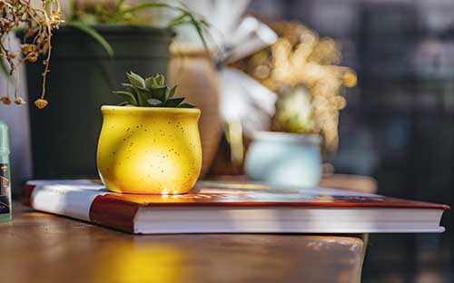 自考要去哪報名？學(xué)歷有用嗎？