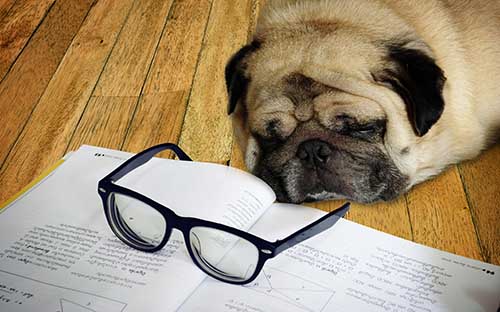 黑龍江自考本科怎么報(bào)名？考哪些科目？