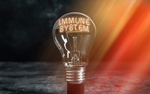 初中報(bào)名自考本科可以嗎？有哪些流程？